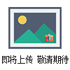 LV5503B8美國(guó)REGO調(diào)壓閥 燃?xì)忾y